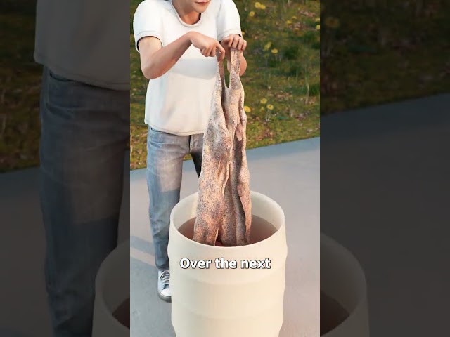 How Animal Skin Turns Into Leather 🤔