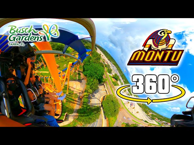 [4K VR 360°] Montu - Inverted Roller Coaster | Front Row POV | Busch Gardens Tampa Bay | 2023-07-07
