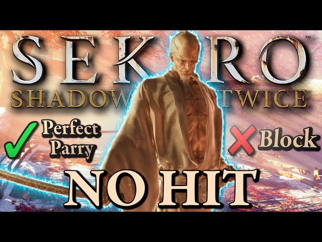 I No Hit Sekiro After 4 Years - Road To God Run 3