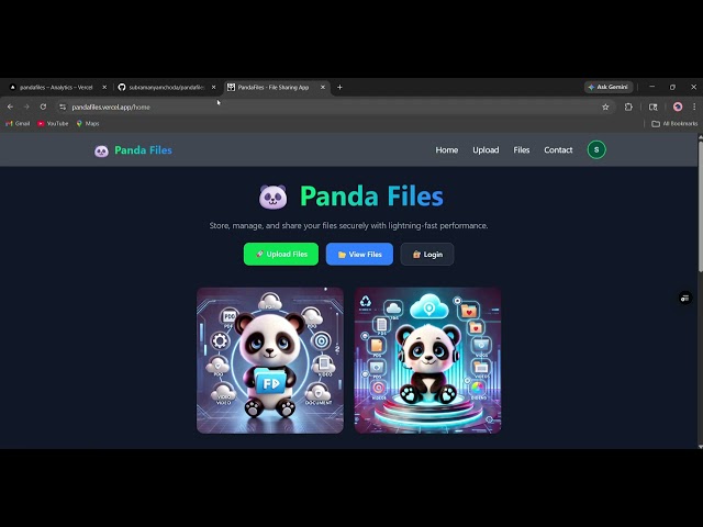 Increased the speed of Panda Files website using SEO and data analytics #coding #web3 #speed
