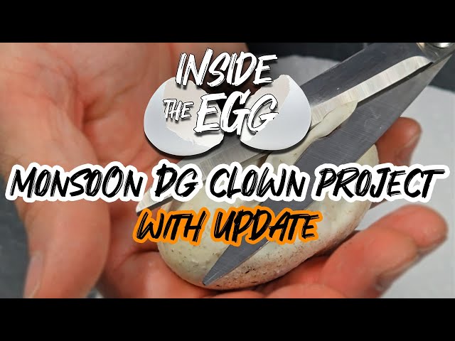 Monsoon DG Clown cutting + UPDATE | Inside the Egg 7