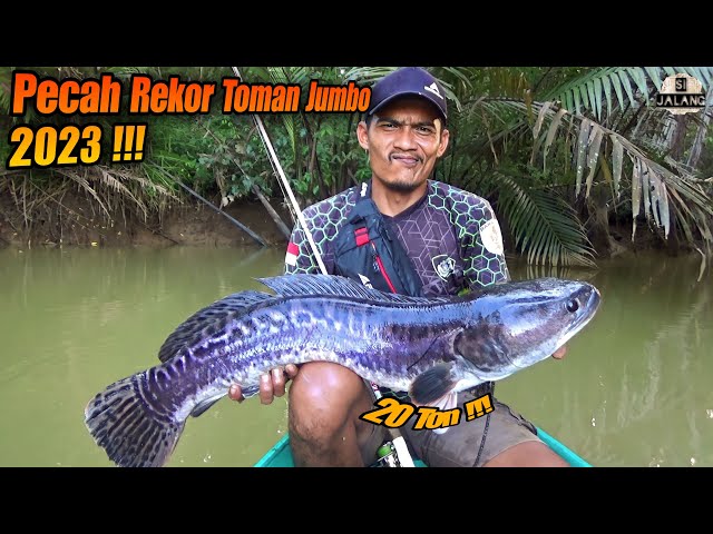 Breaking Toman Jumbo's Personal Record 2023!!! Full Fight Special Episode