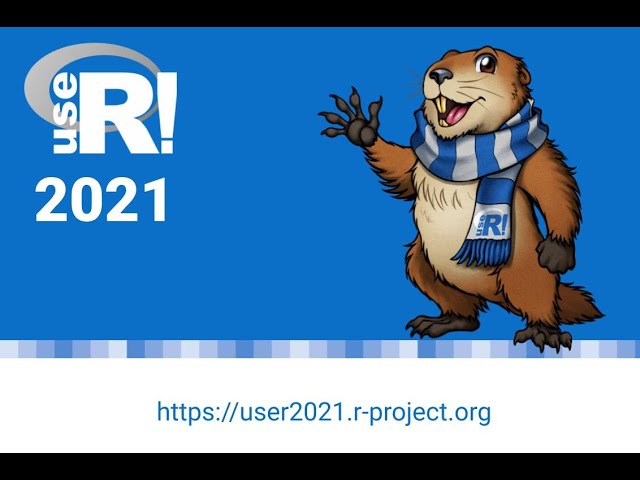 Classifying Student’s Learning Pattern using R Sequence Analysis Packages