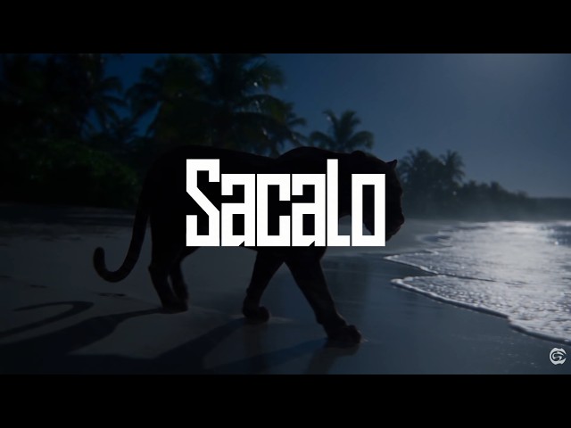 Sacalo - Cartel de Santa | @elcarteldesantatv
