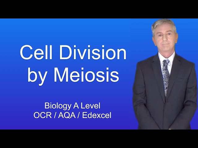 A Level Biology Revision "Cell Division by Meiosis".