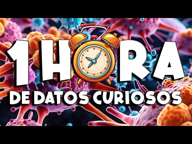 1 HOUR OF NON-STOP FUN FACTS AND THINGS YOU DIDN'T KNOW