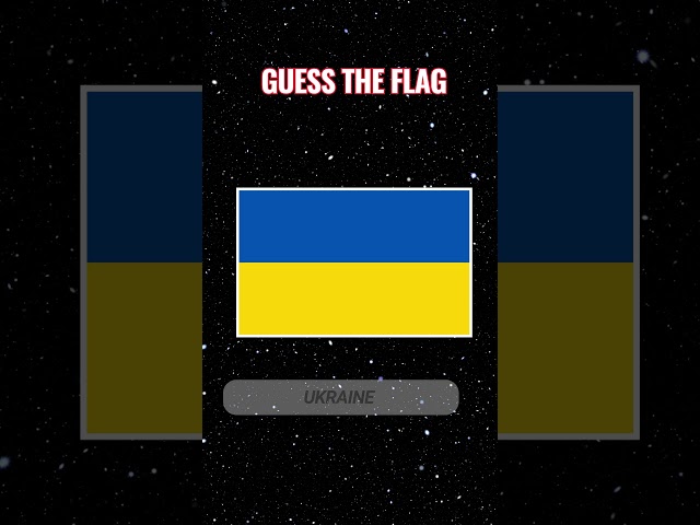 Guess the flag  pt2#shortquiz #quickanswer #quiz #quizquestion #quickknowledge #triviaquestion