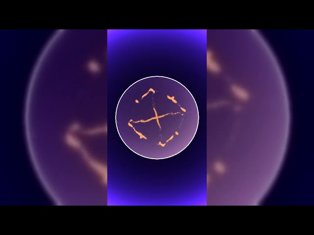 VYRDAI – System Awakening | Epic Chladni Visuals | VYRDAI MEDIA SYSTEM