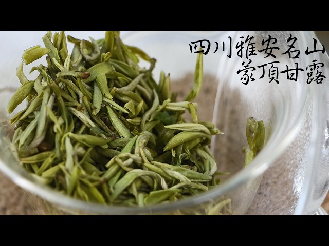 green tea | Sichuan Yaan Mingshan Mengding Ganlu ¶Eng sub