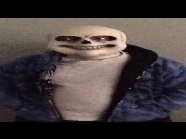 Top 5 Sans