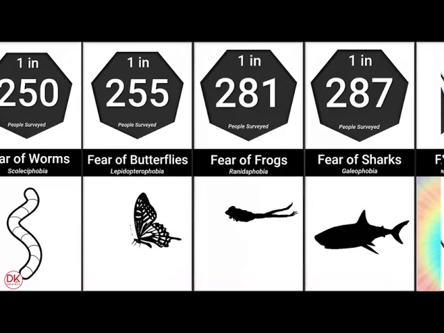 Probability Comparison: Phobias and Fears | Scared anxiety