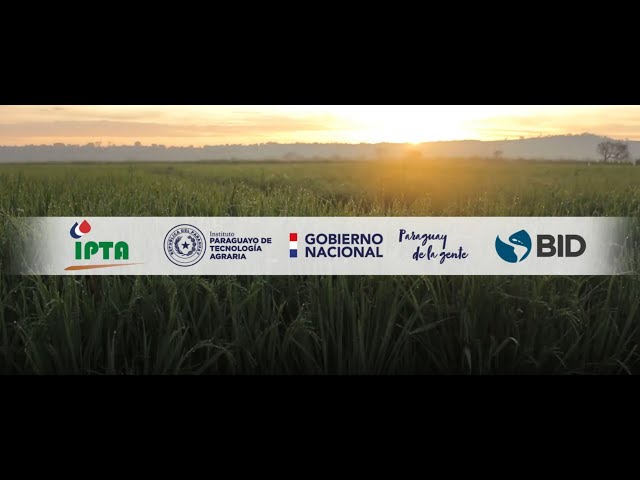 IPTA BID