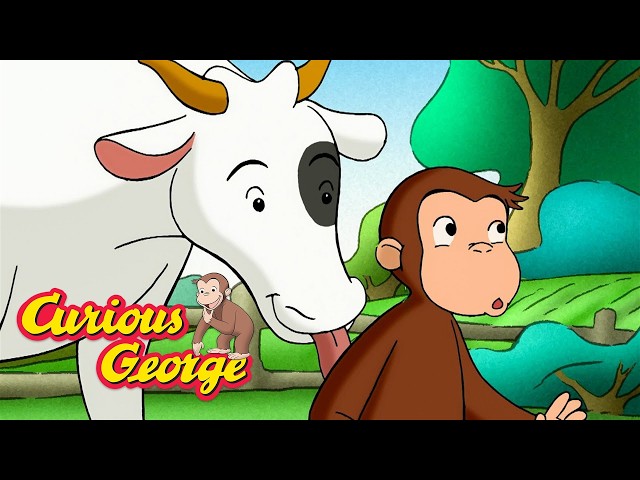 Operation: Keep Out Cows! 🐵 Full Episodes | Curious George
