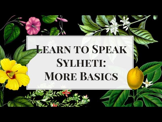 Learn to Speak Sylheti সিলেটি ভাষায় কথা বলতে শিখুন (পর্ব ২ )