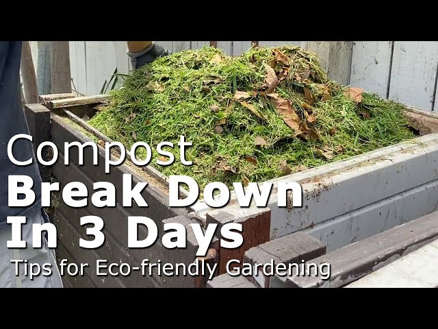 How to Make Fast Compost, Time-lapse of Compost Breakdown in 3 Days