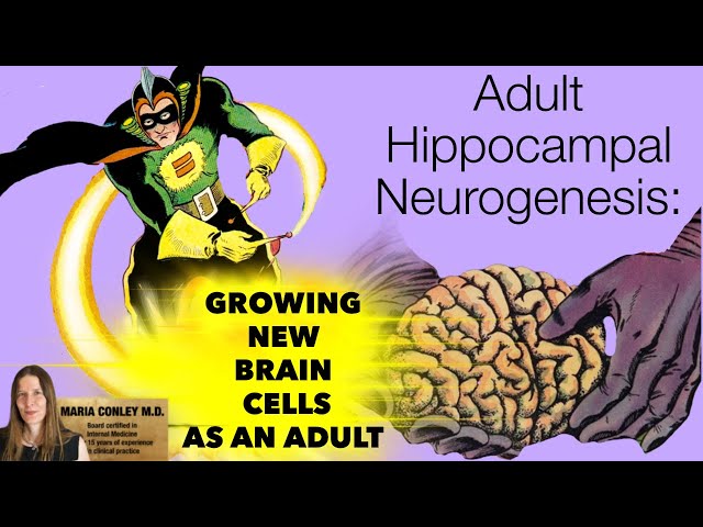 Adult Hippocampal Neurogenesis:  Growing New Brain Cells as an Adult