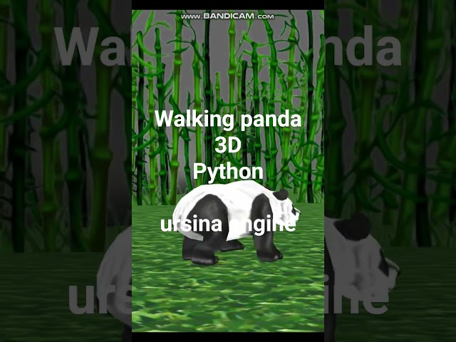 #walking #panda #3D #animation #python #ursina  #development #dev #game #2026 #indie