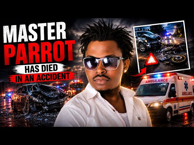 Master Parrot Dies in Tragic Road Accident | Fans Left Heartbroken