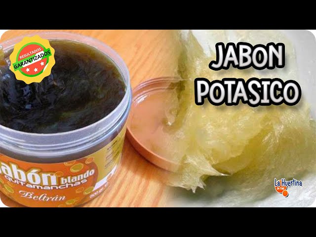 👉Receta EXPRESS de JABÓN POTÁSICO 🐛 Insecticida para PULGÓN MOSCA BLANCA y ARAÑA ROJA
