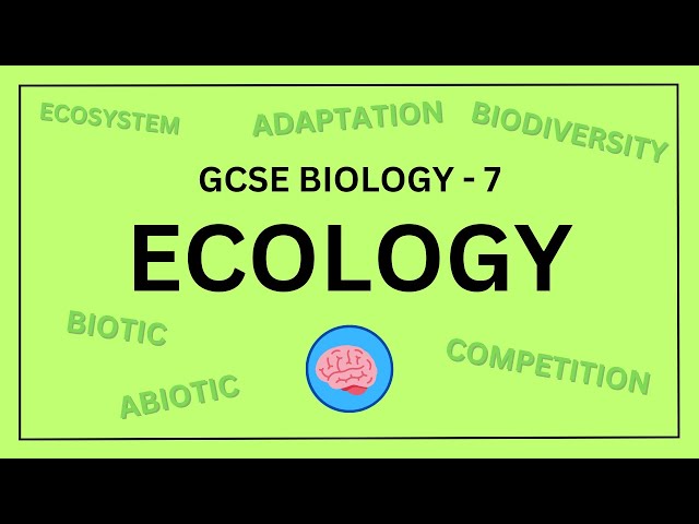 GCSE Biology Paper 2: Ecology in 10 Minutes! | AQA Revision