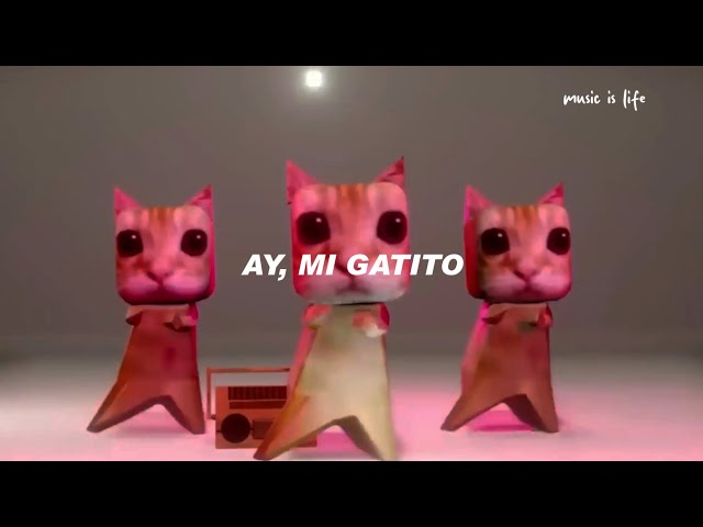 ay mi gatito miau miau tiktok | MONTAGEM MIAU (Letra)