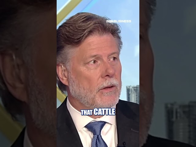 GOP rep says creating beef price problems will not rebuild cattle herd #shorts