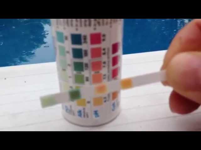 Test PH Alkalinity Chlorine Cyanuric Acid In Swimming Pool With Test Strips