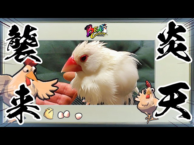 🔴 炎天襲来 [📡LIVE] 🐔🎧