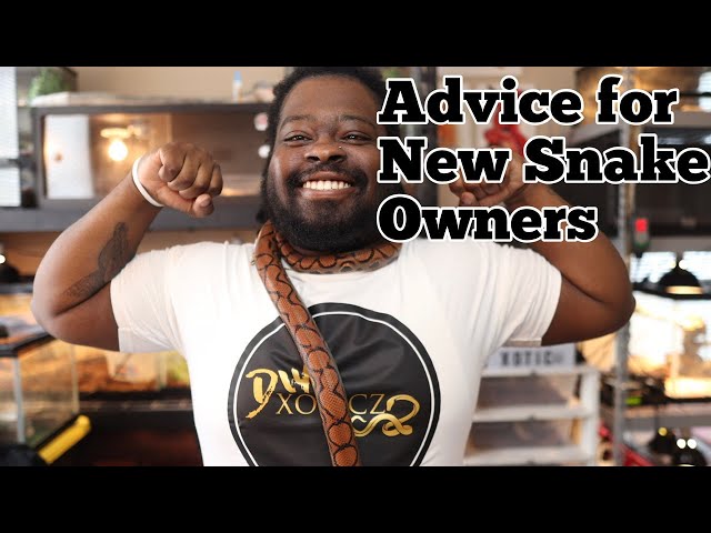 Advice For New Snake Owners | Things I wish I Knew
