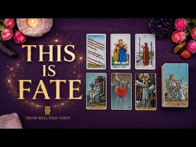 DAILY TAROT READING "THIS IS FATE! MEANT TO BE' Intuitive Spiritual Guidance ✨ Truth Well Told Tarot