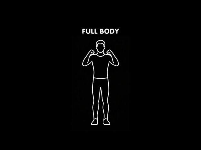 Full body, full version immersive interactive workout, 30 minutes, for adults