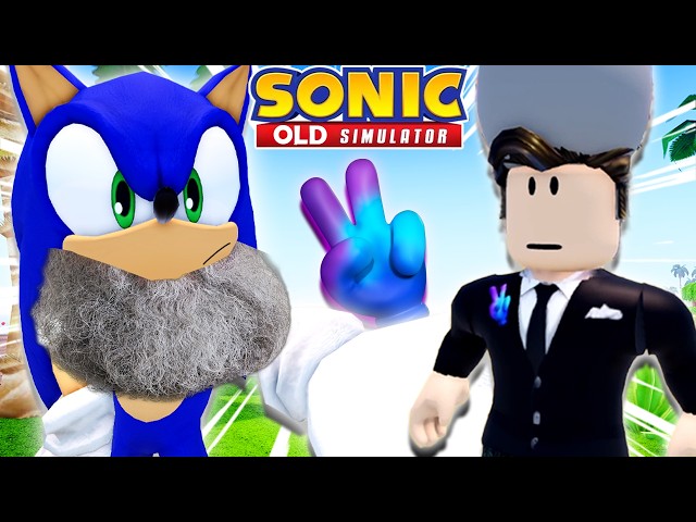Sonic OLD Simulator...