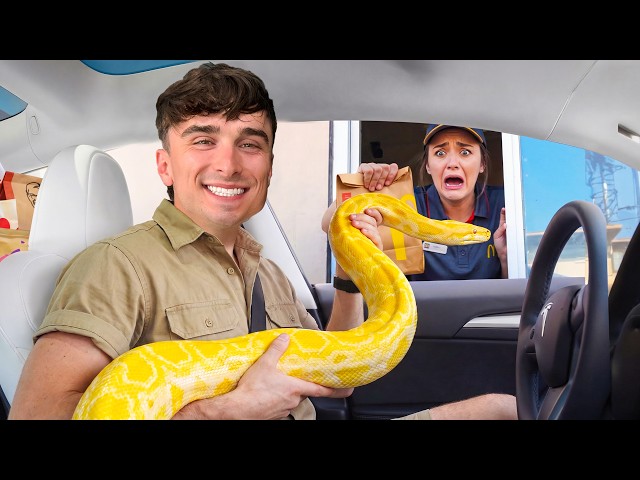 Taking Giant Snakes Through Every Drive Through