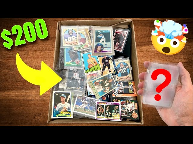 MY BEST GOODWILL SPORTS CARDS BOX OF THE YEAR?!
