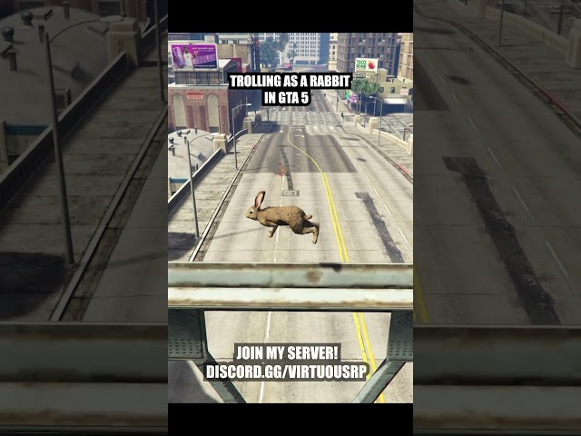 Rabbit Vs GTA 5 #gta5rp