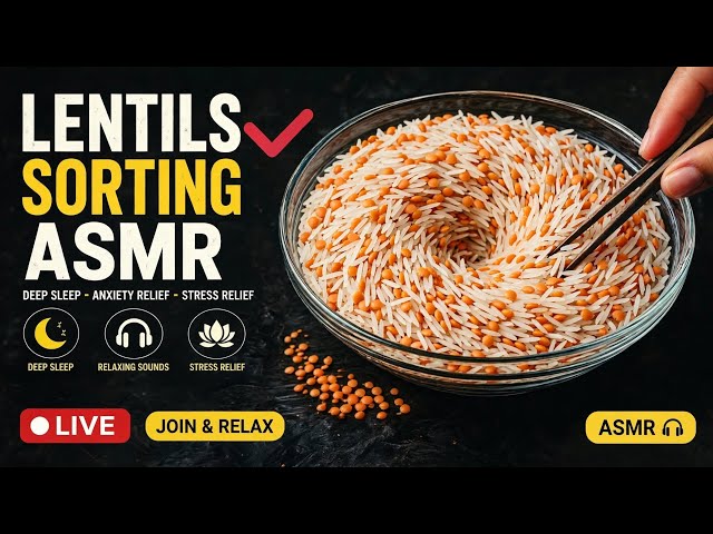 Rice & Lentils Tornado Sorting ASMR LIVE for Better Sleep | Join & Relax