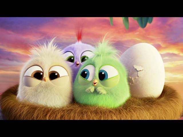 The Angry Birds Movie - The Hatchlings Thank You!