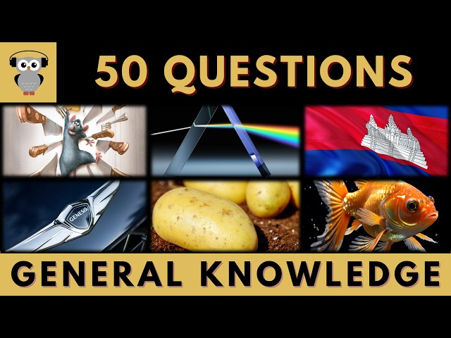 General Knowledge Quiz Trivia | 50 Questions | Do You Know Pub Quiz  #quiz #trivia #quiztrivia