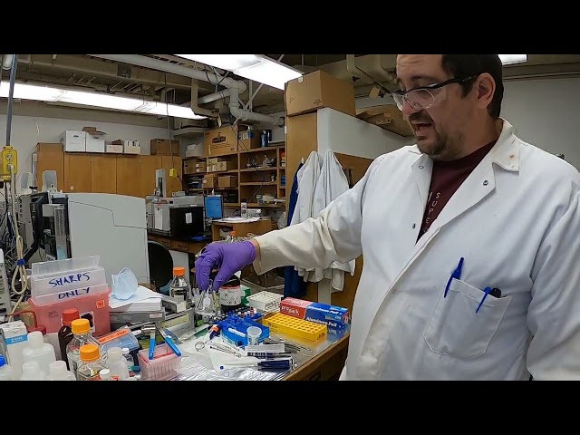 GCMS Sample prep