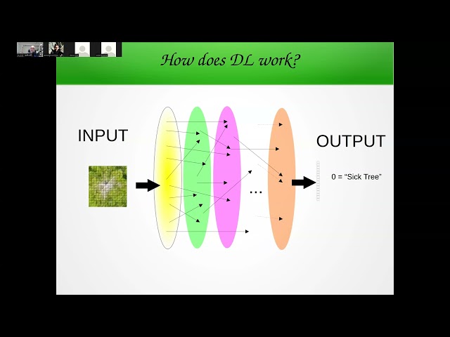 画像処理特論ーAdvanced Topics Image Processing . June 29th 2026 Deep Learning 3