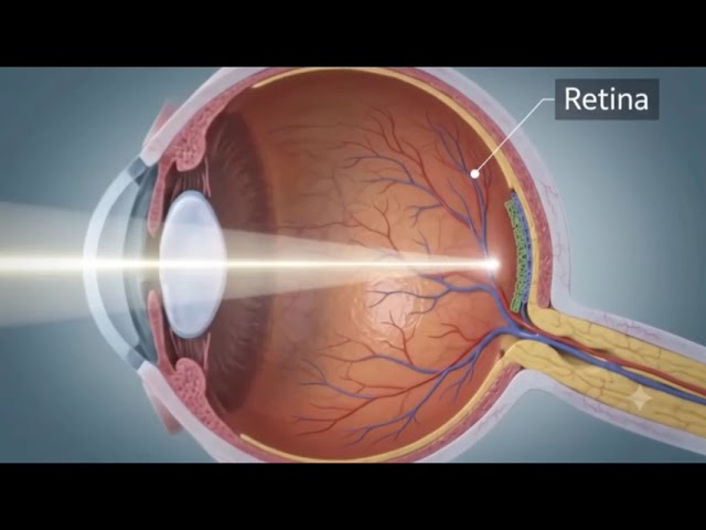 ## HUMAN EYE & ITS WORKING 