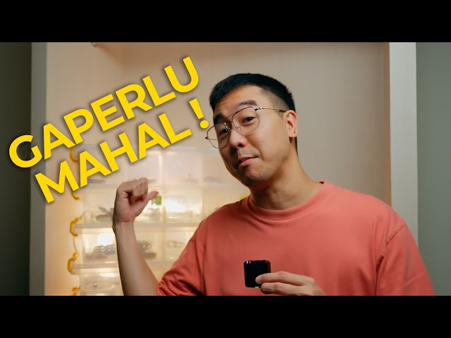 Kandang Ball Python Murah & Simpel untuk Pemula (Baby sampai Dewasa)