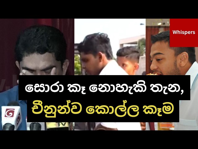 කොල්ලකන, නිධන් හාරන, දේශපාලක පුත්තු | නීතිය | Whispers