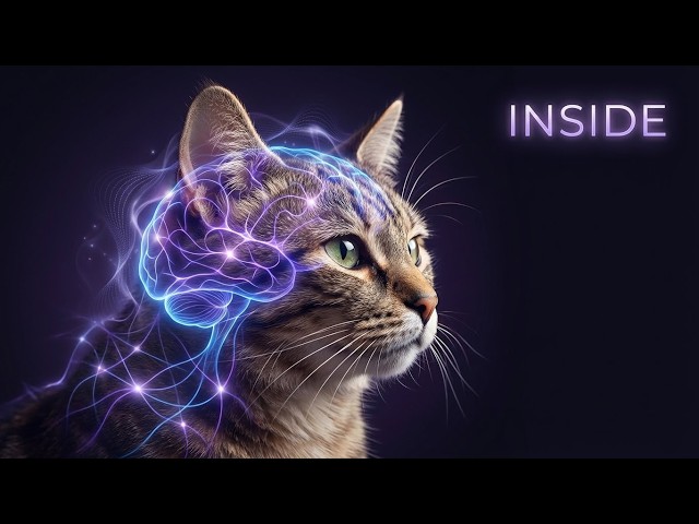 Inside a Cat's Mind (Cat Psychology Lecture)