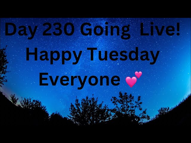 Day 230 Of Being A Consistent Content Creator!