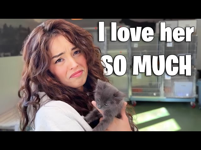 Valkyrae falls inlove with the cutest kitten