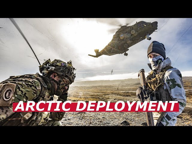 Arctic: Danish and French soldiers deployed together