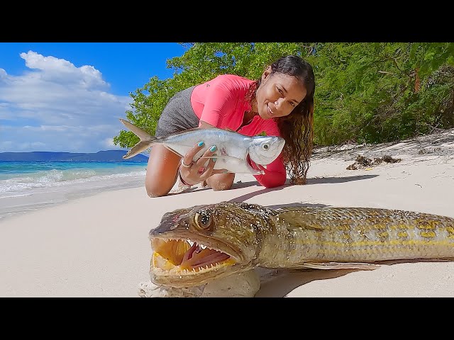 Catch and Cook Lizard Fish on a Tropical Island! Is it Good?