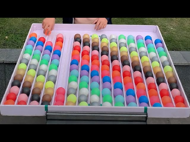 puzzle sort ball challenge 10 minutes of brain sharp
