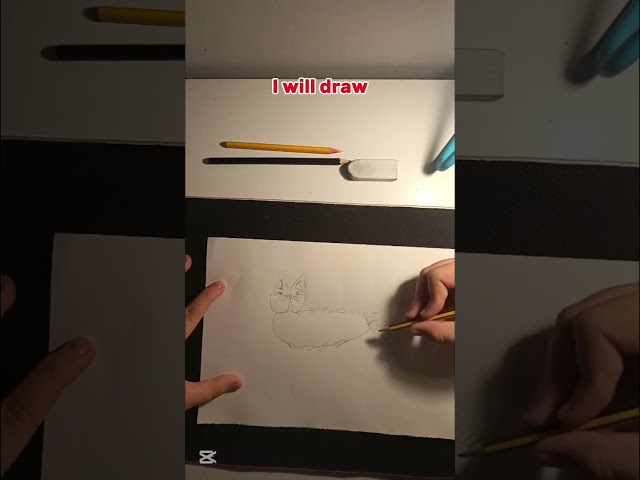 Day 1 Learning how to draw 🐱📝